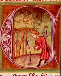Botanik: ein Gärtner beim Umpflanzen. Miniatur aus „Der Rustican oder Buch vom Nutzen des Landes und der Landwirtschaft“ (Rerum ruralium commodorum) von Pietro de Crescenzi (Crescent Stone oder Crescens Stone) (1233-1320), 14. Jahrhundert. Prag