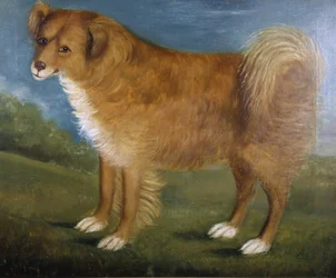 Brauner Hund in einer Landschaft, ca. 1850
