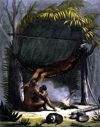 Hütte der Puris in Brasilien - in „Le costume ancien et moderne“ von Ferrario, ed. Mailand