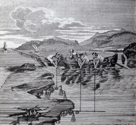 Korallenfischen mit Hilfe von Salaber und Ausrüstung