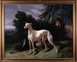 Hunde (Levary)