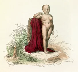 Illustration aus dem Buch „Buffons sämtliche Werke“: Naturgeschichte des Menschen: Weiße Schwarze Frau
