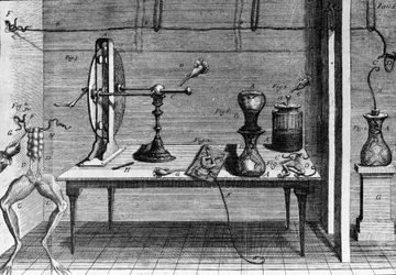 Illustration von Experimenten von Luigi Galvani, italienischer Physiker und Arzt (1737 - 1798), die den Durchgang von elektrischem Strom zeigen, der die Beine eines Frosches bewegt.
