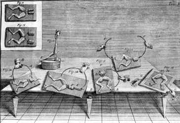 Illustration von Experimenten von Luigi Galvani, italienischer Physiker und Arzt (1737 - 1798), die den Durchgang von elektrischem Strom zeigen, der die Beine eines Frosches bewegt.