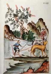 Indianer pflügen ein Feld mit Hunden, aus dem Buch „Trujillo del Peru“ oder „Códice Martínez Compañón“, von Baltazar Martínez Compañón y Bujanda, Bischof von Trujillo (1782-1785)