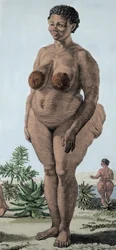 La Venus Hottentote, Frau der Bochiman-Rasse; (Die Hottentotten-Venus), Gravur von 1815