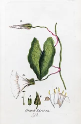 Große Winde
