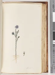 Seite 102. Lein