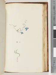 Seite 178. Unbekannte Pflanze