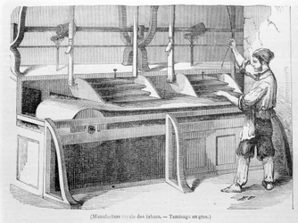 Königliche Tabakfabrik: Großsiebung von Tabak. Gravur des 19. Jahrhunderts