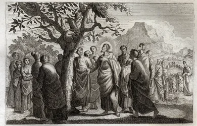 Royaumont-Bibel, Neues Testament: Bekehrung des Zachäus. Jesus Christus spricht mit Zachäus, der auf dem Maulbeerbaum sitzt. Illustration von 1811.