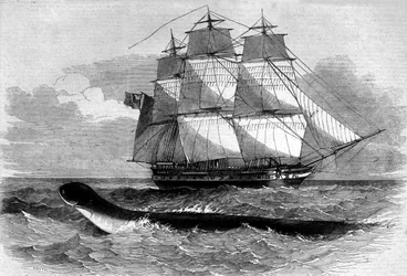 Seemonster: Erscheinung einer Seeschlange auf der Fregatte Daedalus im Jahr 1848. Gravur aus dem 19. Jahrhundert.