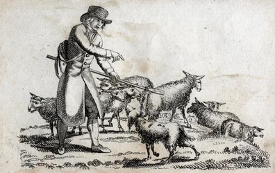 Schäfer mit seiner Schafherde. Gravur späte 18. Jahrhundert. Private Sammlung.