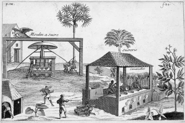 Zuckerherstellung: Zuckerfabrik und Zuckerfabrik - in „General History of Drugs, Simple and Compounded“ von Pomet