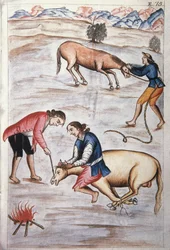 Das rote Eisenbrandzeichen einer Stute, aus dem Buch "Trujillo del Peru" oder "Códice Martínez Compañón", von Baltazar Martinez Compañón y Bujanda, Bischof von Trujillo (1782-1785)