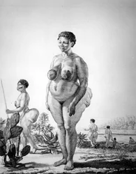 Venus Hottentote aus Südafrika