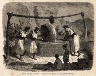 Frauenarbeit, Mahlen von Oliven, einem der wichtigsten landwirtschaftlichen Erzeugnisse in der Djurdjura, Algerien. Stich zur Illustration des Ausflugs in die Große Kabylei zwischen dem Mittelmeer und der Djurdjura im Jahr 1864 durch Kommandant Duhousset