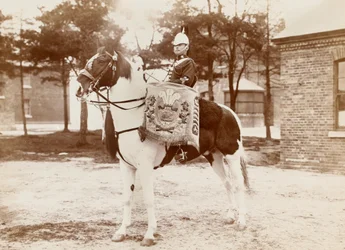 ?Trommelpferd, 3. Dragonergarde des Prinzen von Wales?, ca. 1895