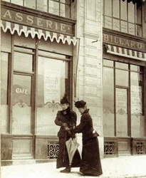 Elisabeth, Kaiserin von Österreich und Königin von Ungarn (24. Dezember 1837 – 10. September 1898) (Foto)