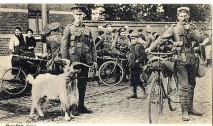 Gat: Maskottchen der Soldaten während des Ersten Weltkriegs (1914-1918)