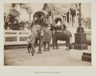 Fotografie im Fotoalbum