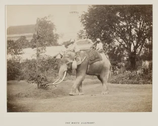 Fotografie im Fotoalbum