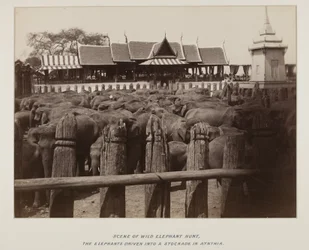 Fotografie im Fotoalbum