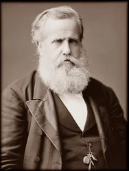 Porträt von Dom Pedro II (Peter II) (Dom Pedro de Alcantara) (1825-1891), Kaiser von Brasilien