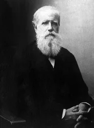 Porträt von Dom Pedro de Alcantara (Peter II) (1825-1891), Kaiser von Brasilien