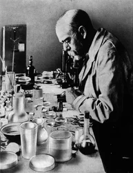 Porträt des deutschen Arztes Robert Koch (1843-1910) in seinem Labor