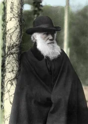 Porträtfotografie von Charles Darwin (1809 - 1882), englischer Naturforscher im Jahr 1881.