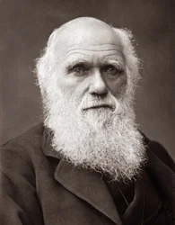 Der englische Naturforscher Charles Robert Darwin (1809-1882)