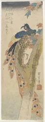 (Pfau auf Ahornbaum), frühes 19. Jahrhundert
