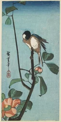 (Meise auf Kamelie), 1830-1858