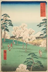 Asuka-Hügel in der östlichen Hauptstadt (Toto Asukayama), aus der Serie "Sechsunddreißig Ansichten des Berges Fuji (Fuji sanjurokkei)"