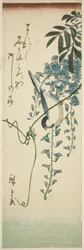 Vogel und Glyzinie