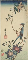 Blauer Vogel auf Clematis