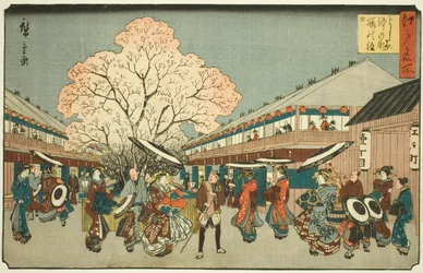 Kirschblütentag auf dem Nakanocho von Yoshiwara, aus der Serie "Berühmte Orte in Edo"