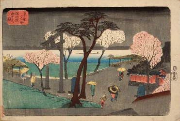 Kirschbäume im Regen am Ufer des Sumida-Flusses