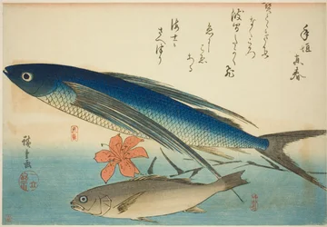 Fliegender Fisch und Ichimochi, aus einer unbetitelten Serie von Fischen