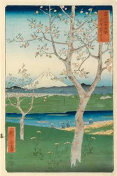 Der Fuji von Koshigaya, Musashi, Nr. 14 aus der Serie „36 Ansichten des Fuji“ („Fuji Sanjūrokkei“)