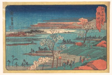 Die Blüten von Gotenyama