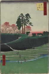 Gotenyama-Hügel, Shinagawa, April 1856
