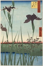Horikiri-Irisgarten (Horikiri no hanashōbu), aus der Serie Einhundert berühmte Ansichten von Edo (Meisho Edo hyakkei)