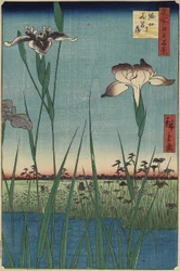 Irisgarten in Horikiri, Mai 1857