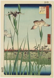 Irisgarten in Horikiri, Mai 1857