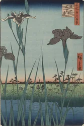 Schwertlilien in Horikiri, aus der Serie „Hundert berühmte Ansichten von Edo“