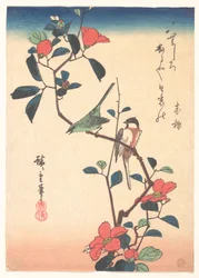 Japanischer Brillenvogel und Meise auf einem Kamelienzweig