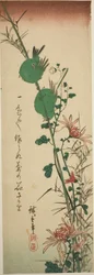 Japanische Weißaugen und Chrysanthemen