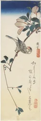 Java-Spatz und Magnolie, 1834-1839